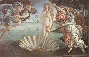 The birth of Venus botticelli